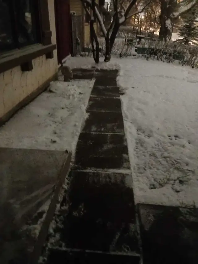 offering snow removal - Photo 4