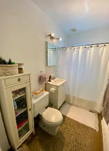 Grand Ahuntsic 3 1/2 logement à louer - juillet 1 - Photo 7