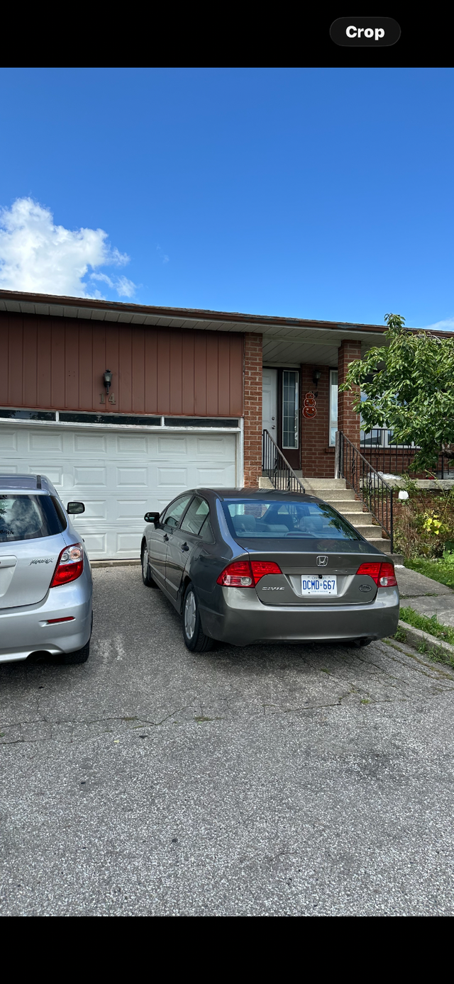 Beautiful Etobicoke Room 416 841-5444 call now