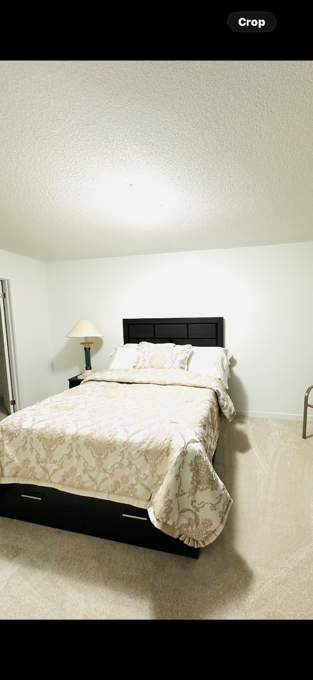 Beautiful Etobicoke Room 416 841-5444 call now - Photo 5