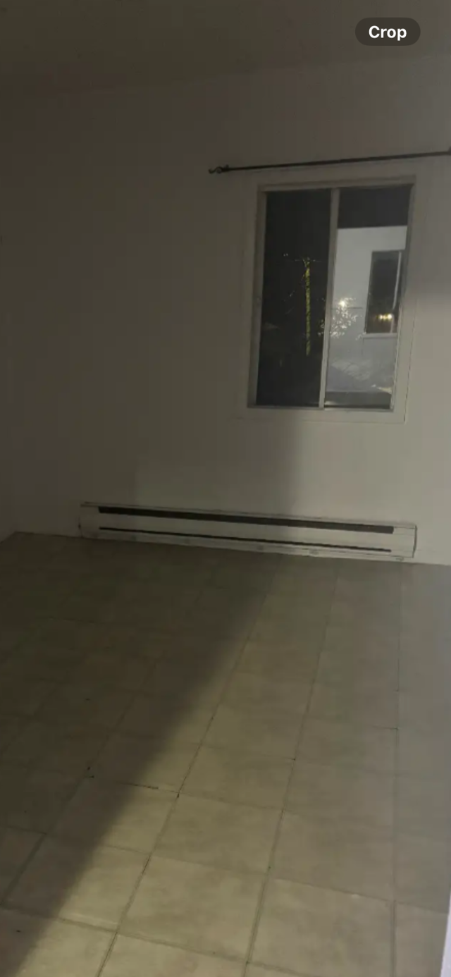 St-Francois-du-Lac:4 1/2 avec 2 balcons haut duplex avec parking - Photo 4