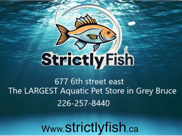 just arrived from Indonesia.