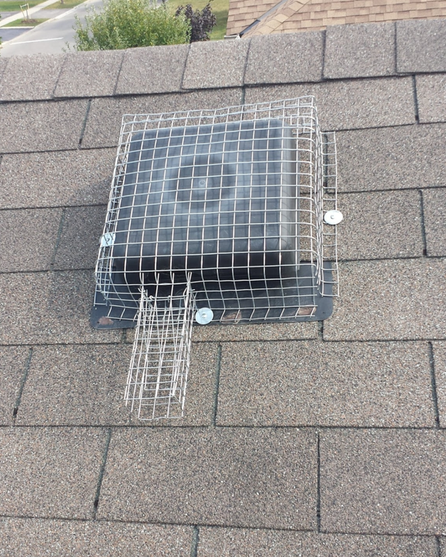 Wildlife Removal Services-Raccoon/Skunk/Bird/Mice/Squirrel - Photo 3