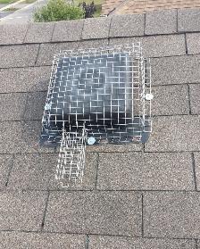 Wildlife Removal Services-Raccoon/Skunk/Bird/Mice/Squirrel - Photo 3
