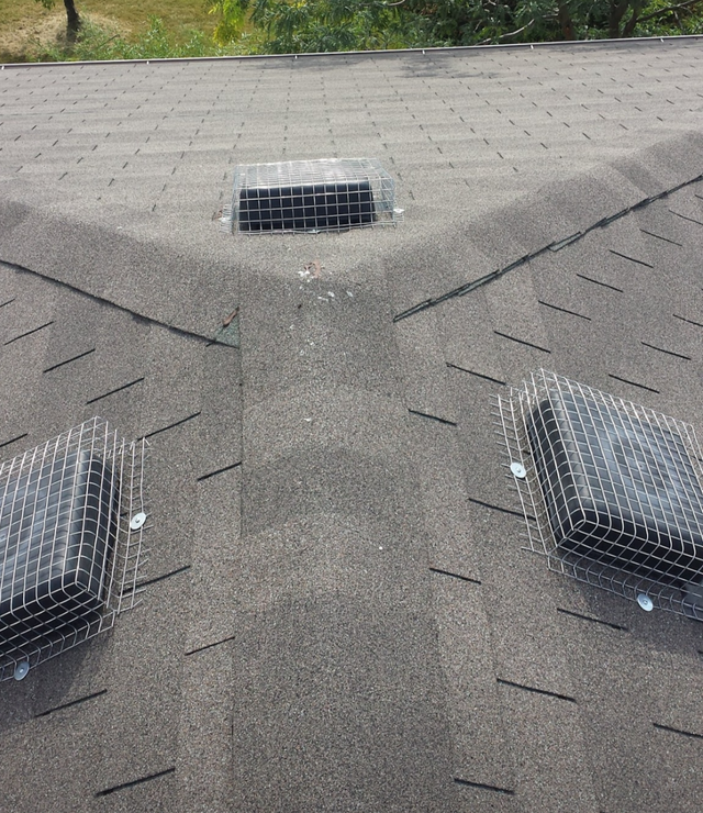 Wildlife Removal Services-Raccoon/Skunk/Bird/Mice/Squirrel - Photo 4