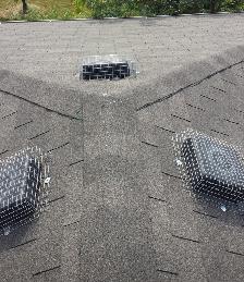 Wildlife Removal Services-Raccoon/Skunk/Bird/Mice/Squirrel - Photo 4