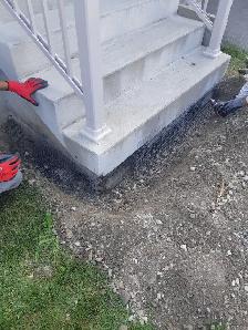 Wildlife Removal Services-Raccoon/Skunk/Bird/Mice/Squirrel - Photo 5