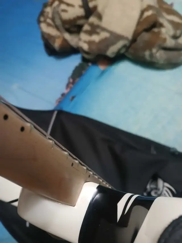 EVH Striped Wolfgang Special   extras - Photo 3