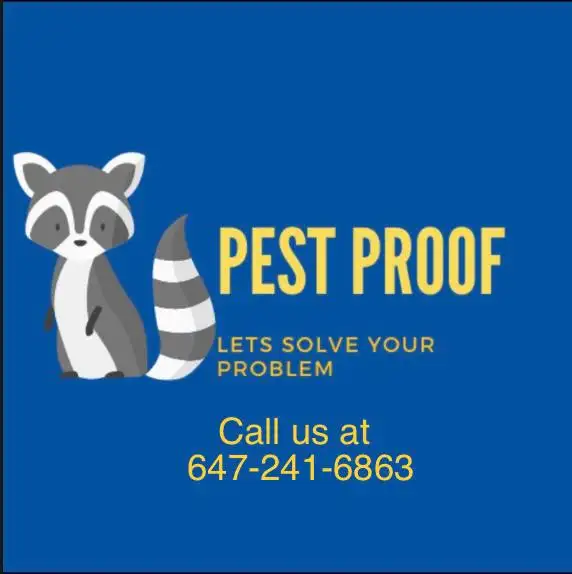 Wildlife Removal Services-Raccoon/Skunk/Bird/Squirrel/Mice