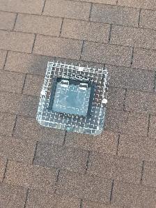 Wildlife Removal Services-Raccoon/Skunk/Bird/Squirrel/Mice - Photo 3