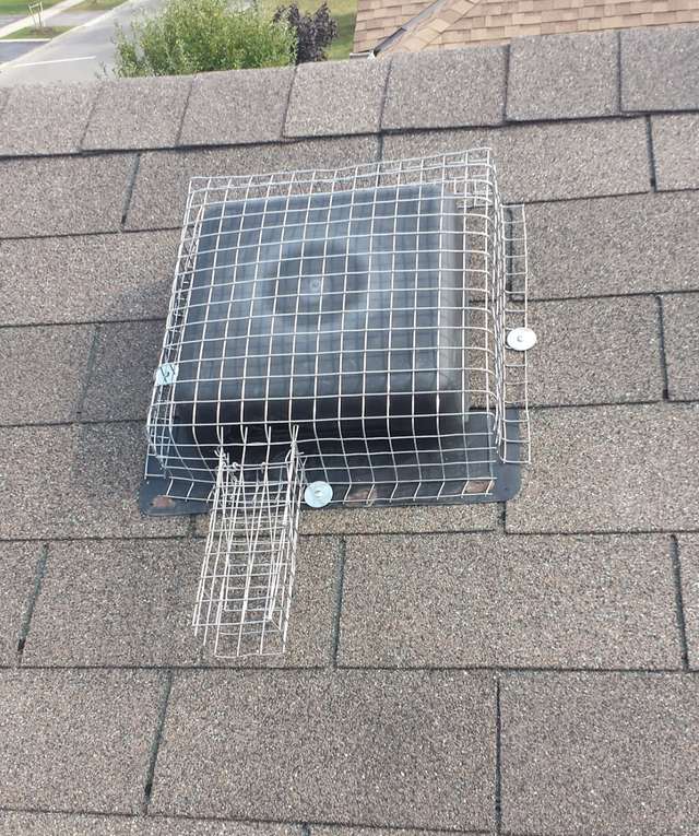 Wildlife Removal Services-Raccoon/Skunk/Bird/Squirrel/Mice - Photo 4