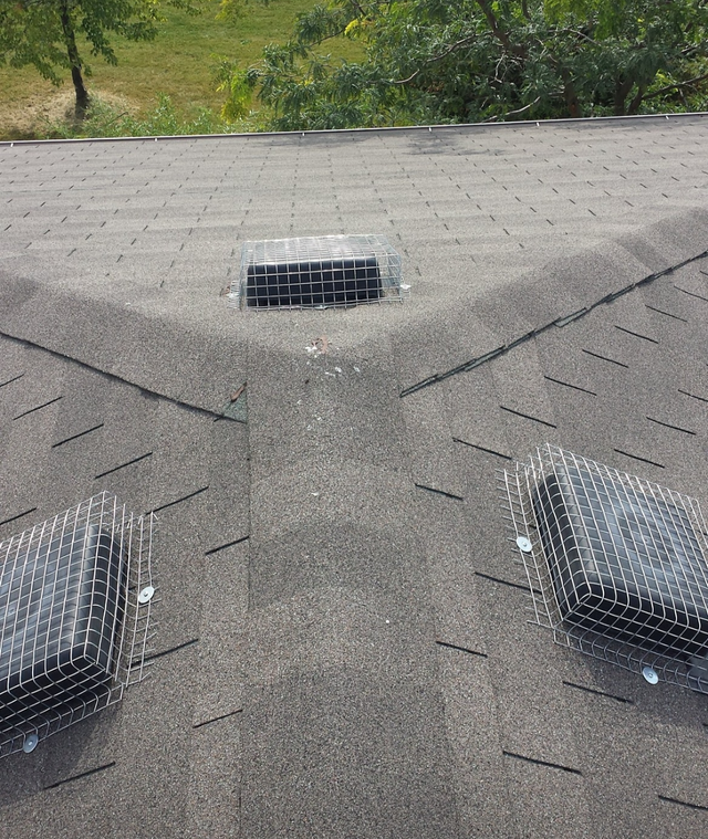 Wildlife Removal Services-Raccoon/Skunk/Bird/Squirrel/Mice - Photo 7