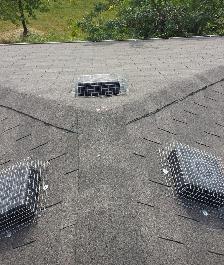 Wildlife Removal Services-Raccoon/Skunk/Bird/Squirrel/Mice - Photo 7
