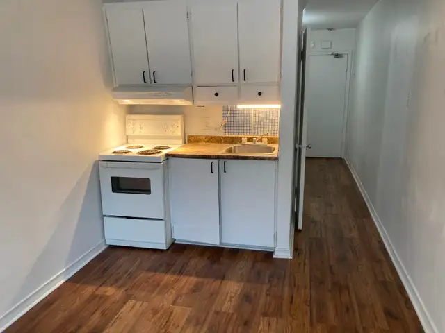 Studio de 1-1/2, sur le Plateau - Photo 3