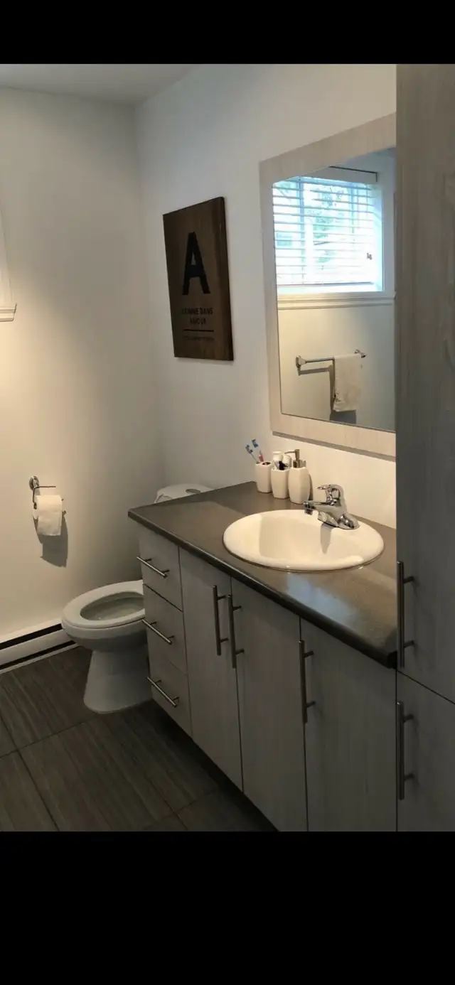 Logement à Louer à St-Rémi - Photo 6