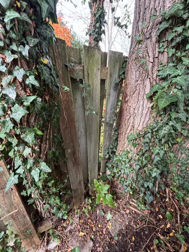 fence n deck - Photo 3