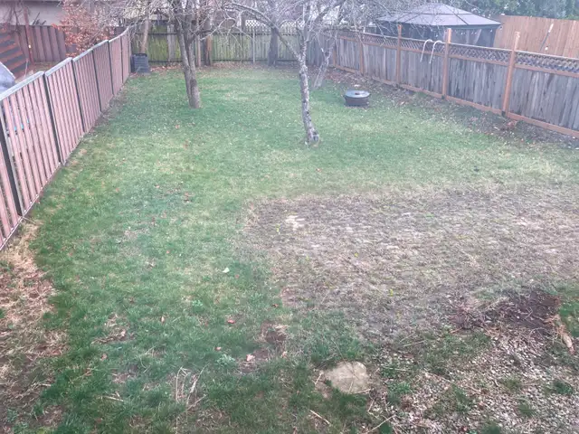 RENT  TO  OWN  HOME  -  WINDSOR - Photo 6