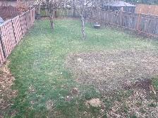 RENT  TO  OWN  HOME  -  WINDSOR - Photo 6