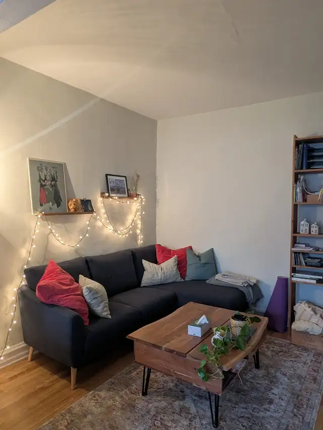 Magnifique 4 1/2 au Cœur du Plateau - rue Messier et Marie-Anne - Photo 3