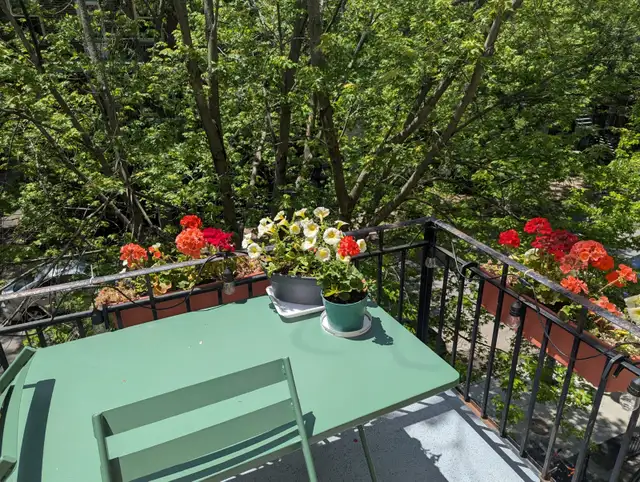 Magnifique 4 1/2 au Cœur du Plateau - rue Messier et Marie-Anne - Photo 8