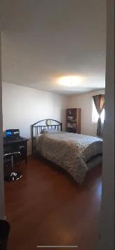 rent a room for female student or professional