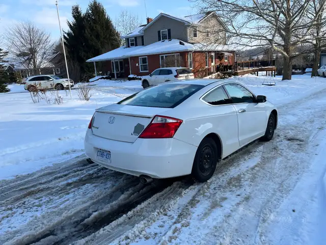 2009 Honda Accord V6 EXL - As Is - Photo 5