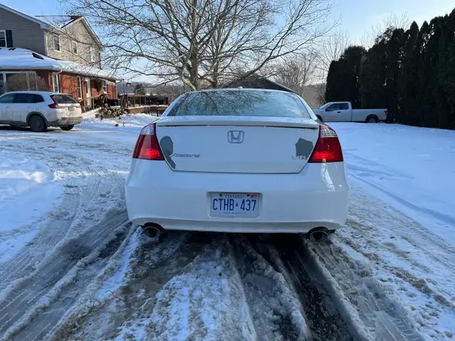 2009 Honda Accord V6 EXL - As Is - Photo 6