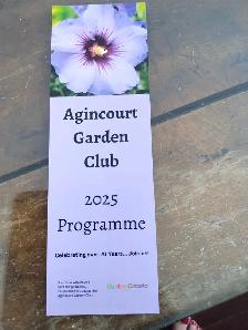 Agincourt Garden Club Plants, Veggies and Used Treasure Sale - Photo 3