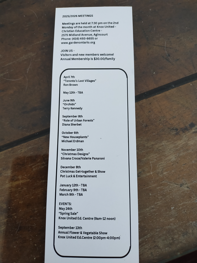 Agincourt Garden Club Plants, Veggies and Used Treasure Sale - Photo 4