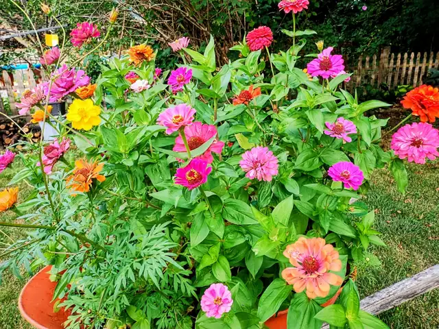 Agincourt Garden Club Plants, Veggies and Used Treasure Sale - Photo 10