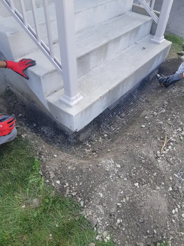 Wildlife Removal Services-Raccoon/Skunk/Bird/Mice/Squirrel - Photo 2