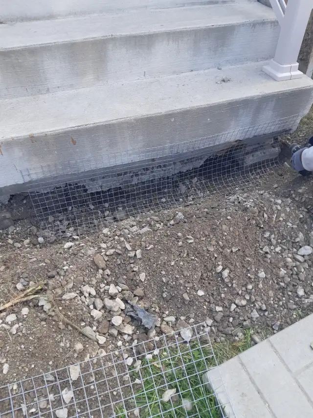 Wildlife Removal Services-Raccoon/Skunk/Bird/Mice/Squirrel - Photo 3