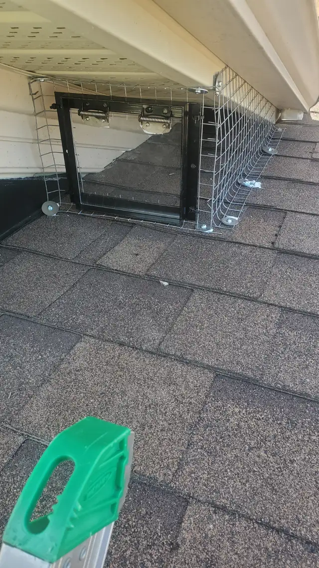 Wildlife Removal Services-Raccoon/Skunk/Bird/Mice/Squirrel - Photo 4