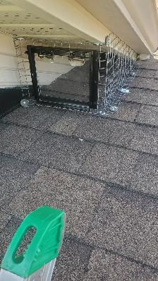 Wildlife Removal Services-Raccoon/Skunk/Bird/Mice/Squirrel - Photo 4