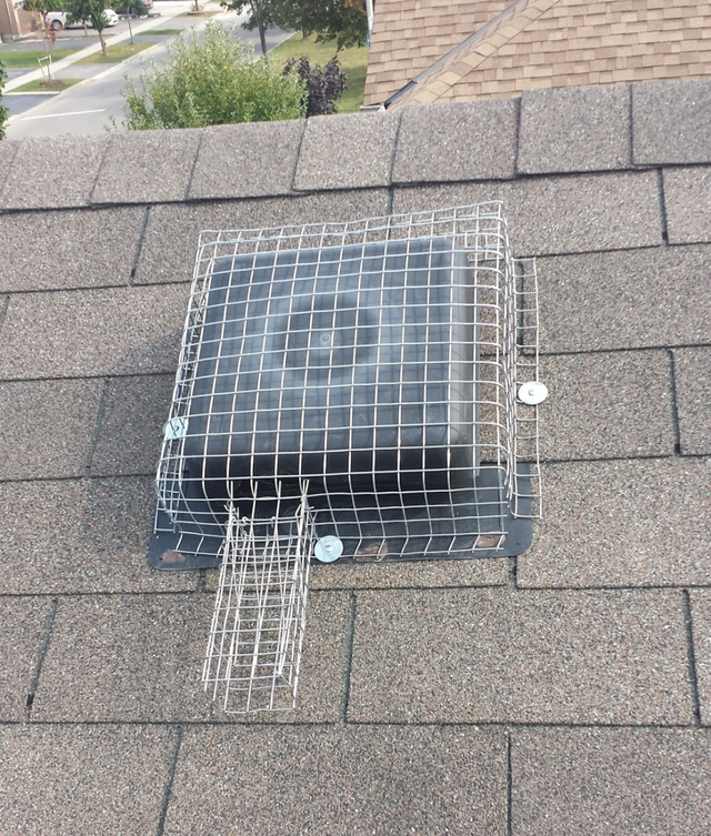 Wildlife Removal Services-Raccoon/Skunk/Bird/Mice/Squirrel - Photo 6