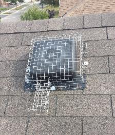 Wildlife Removal Services-Raccoon/Skunk/Bird/Mice/Squirrel - Photo 6