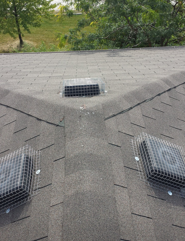 Wildlife Removal Services-Raccoon/Skunk/Bird/Mice/Squirrel - Photo 7