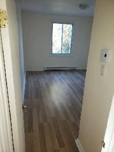 5 1/2 for rent NDG - Photo 6