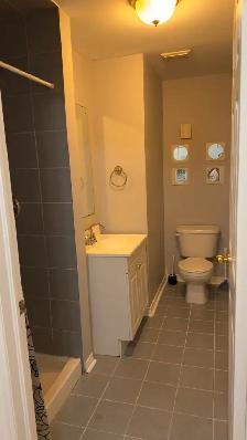 COZY, BRIGHT BASEMENT APARTMENT IN NORTH YORK - Photo 8