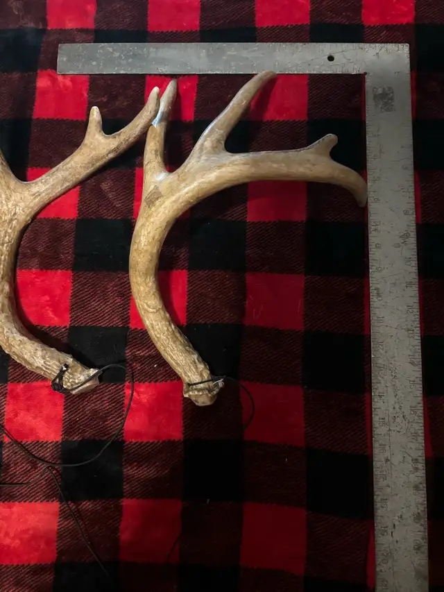 Synthetic Rattling Antlers $25obo - Photo 2