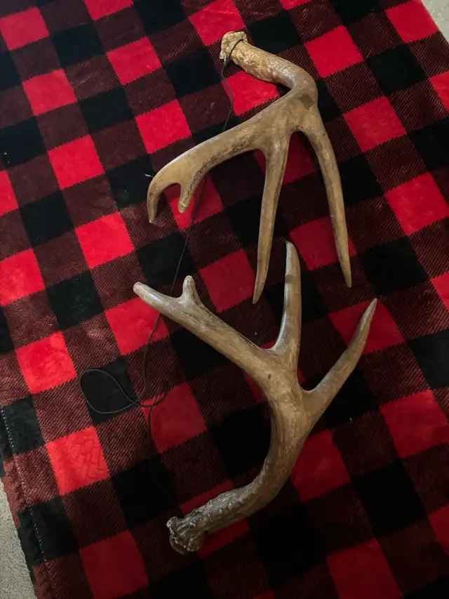 Synthetic Rattling Antlers $25obo - Photo 3