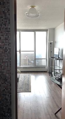 Plateau Mont-Royal, 3 ½ meublé, 20e étage, piscine, sauna et gym - Photo 7