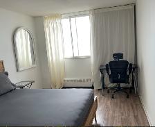 Plateau Mont-Royal, 3 ½ meublé, 20e étage, piscine, sauna et gym - Photo 8