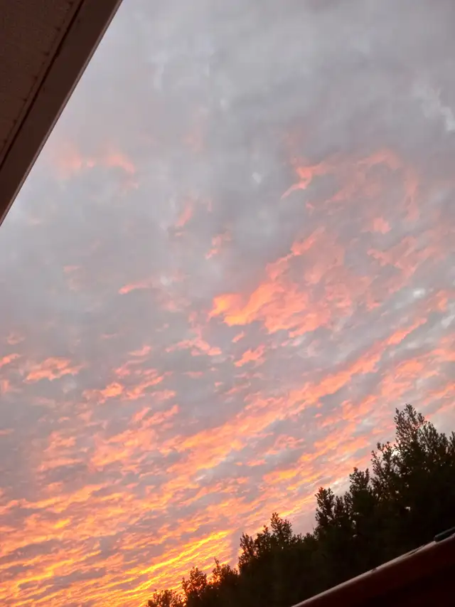 Furnished Room w/Prvate Bath - Photo 6