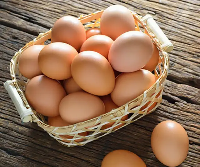 ORGANIC EGGS FOR SALE