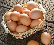 ORGANIC EGGS FOR SALE