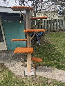 Cat Tree - very tall