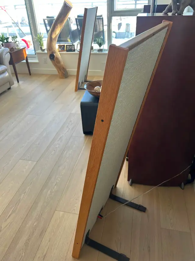 Magnaplanar high Fidelity home speakers