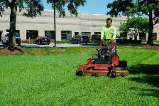 hardworking Labourer Seeking lawn mowing/Lawn care work asap