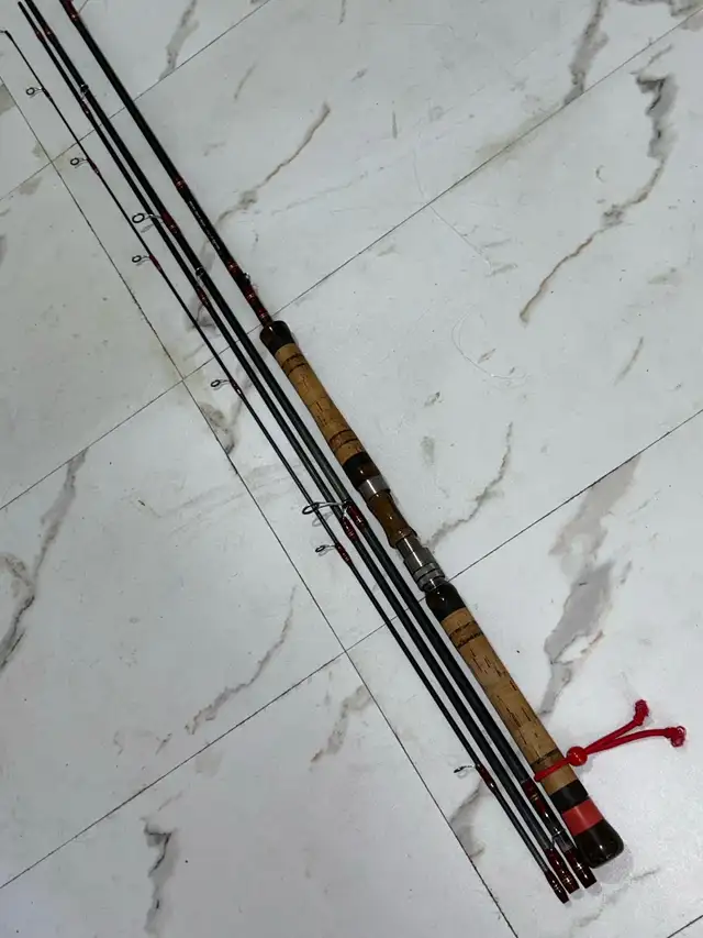 NFC LMX Rod - Photo 5